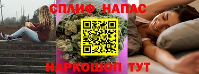 прущие грибы Краснодар