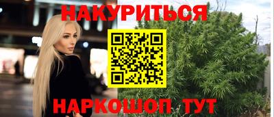 прущие грибы Краснодар