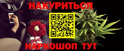 прущие грибы Краснодар