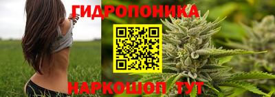 jwh Краснознаменск