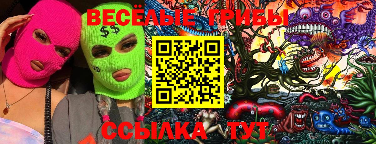 Галлюциногенные грибы MAGIC MUSHROOMS  Вход с VPN  Качканар 