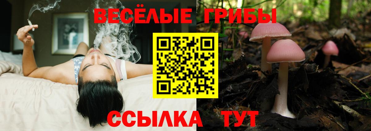 Галлюциногенные грибы мухоморы Качканар