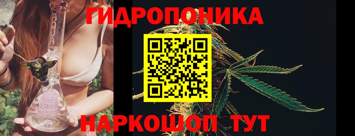 Качканар  Конопля Amnesia  Вход с VPN  Канабис семена  Шишки марихуана Amnesia  МАРИХУАНА индика 